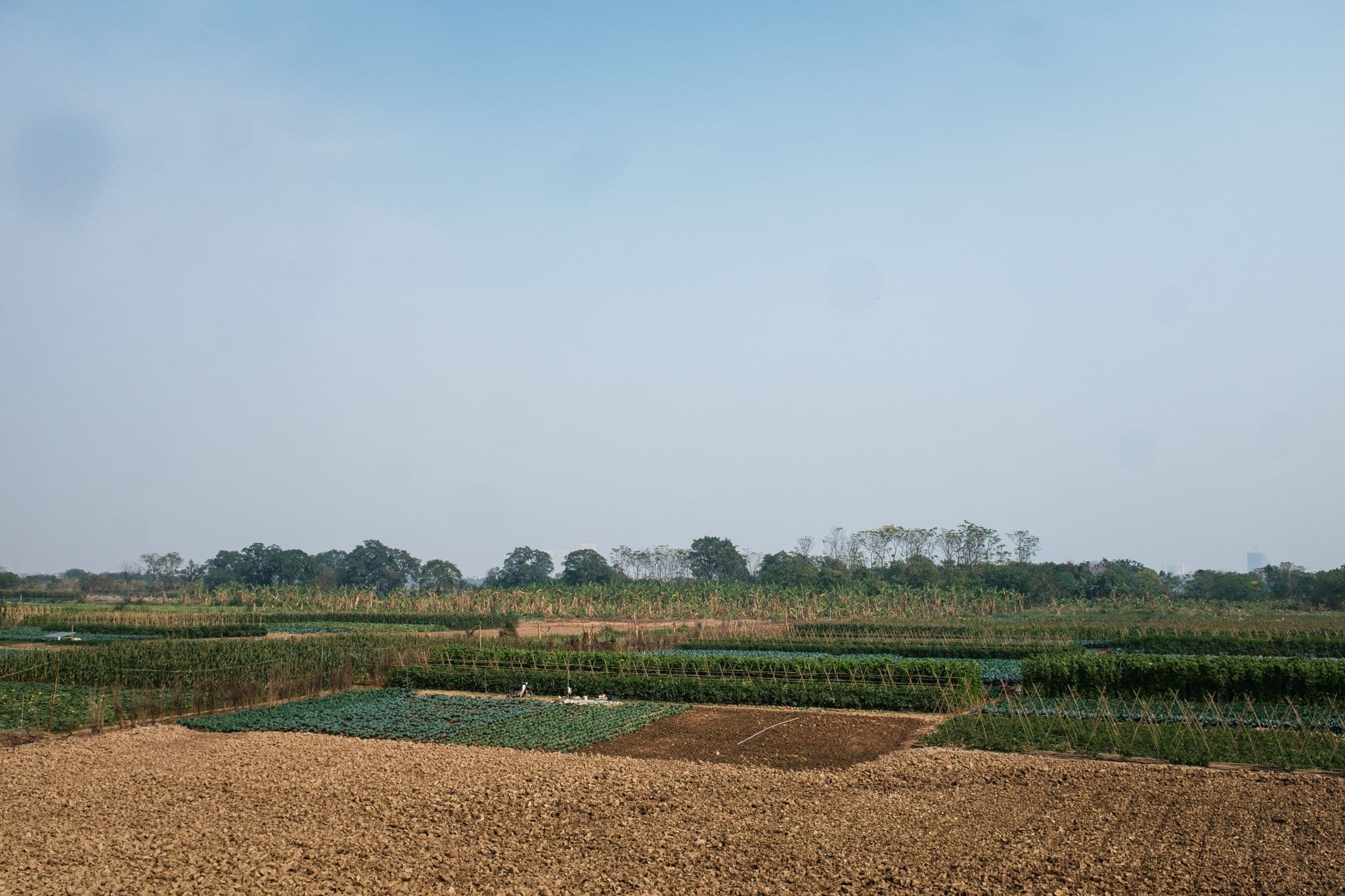 DSCF4951.jpg